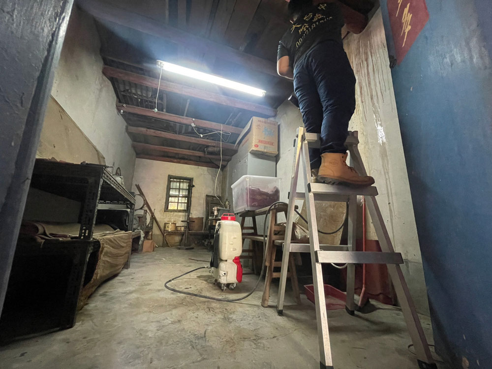 台中除白蟻推薦