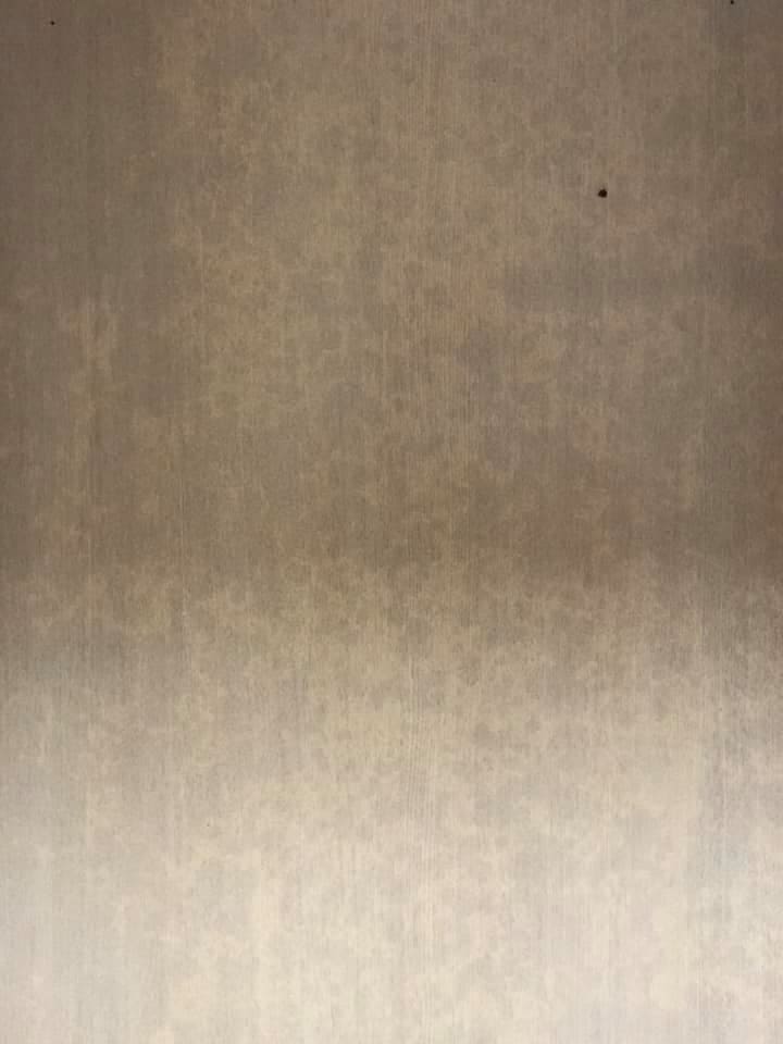 台中推薦除蛀蟲